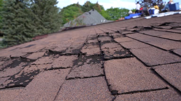 Best Emergency Roof Repair Services  in Monahans, TX